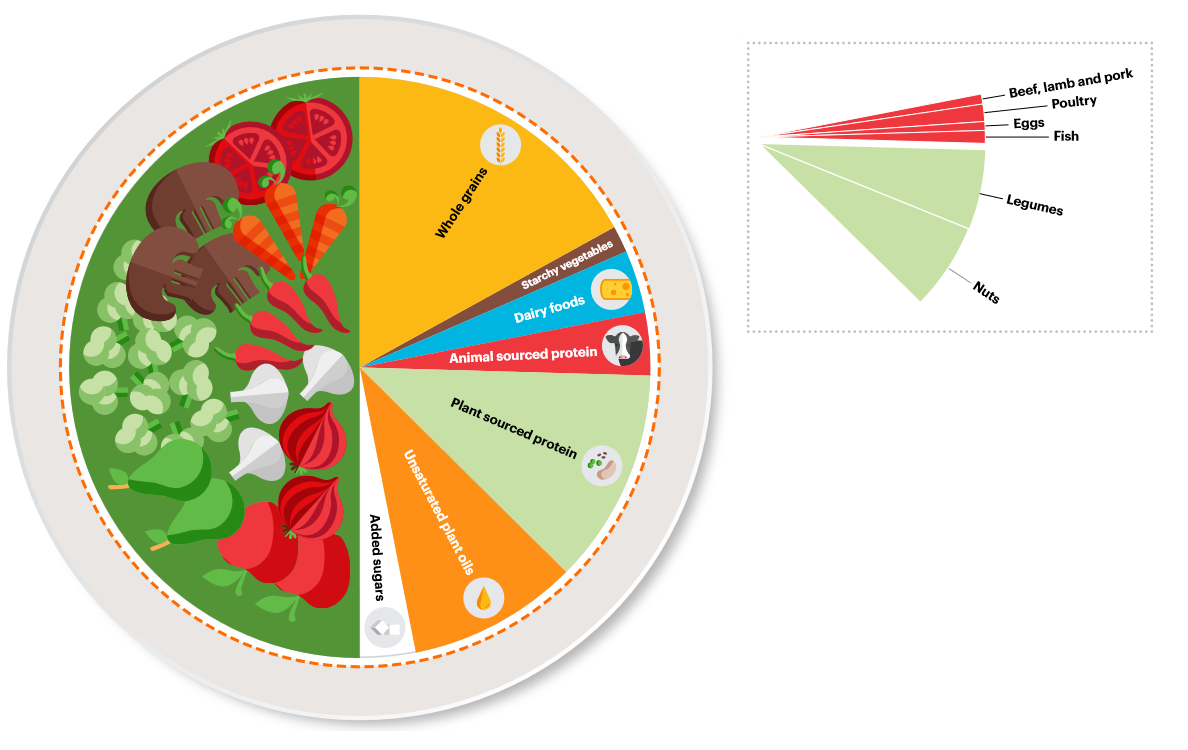 lancet diet